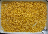 HACCP Certification Canned Sweet Corn 75g 184g 425g 2840g